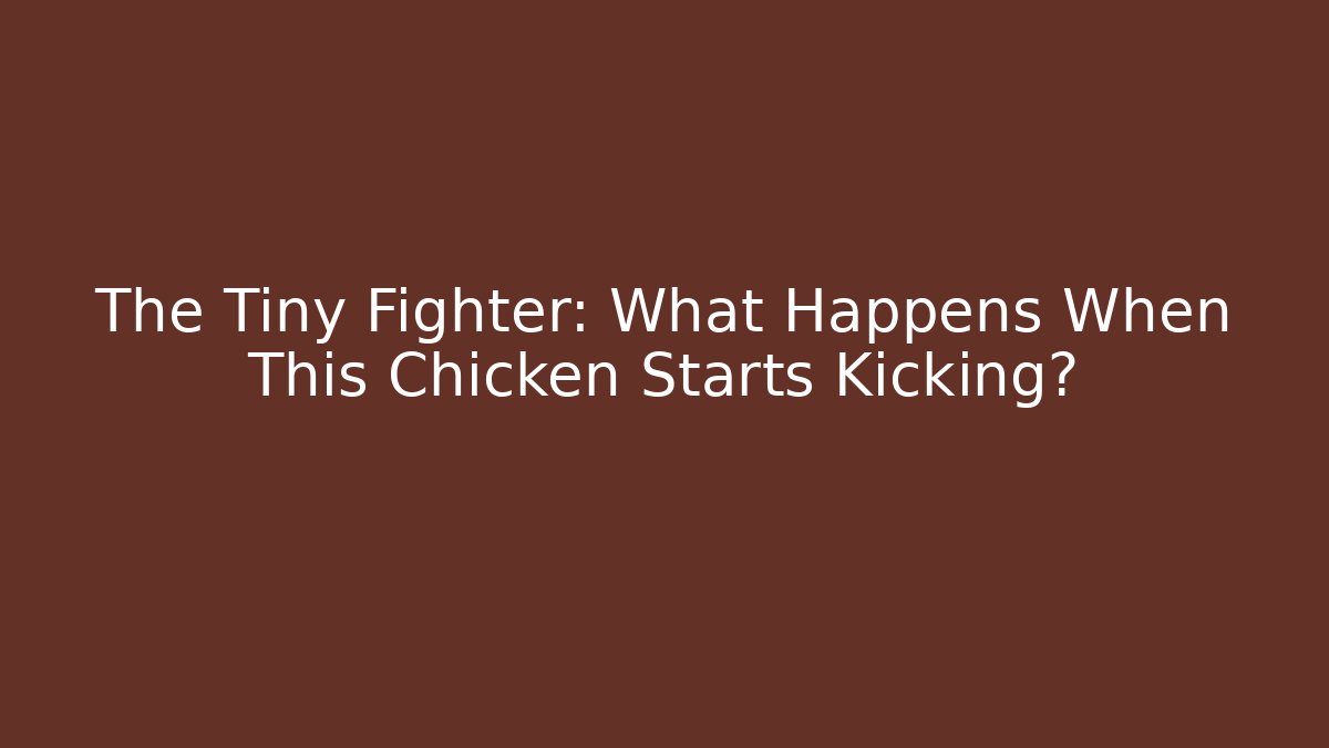 The Tiny Fighter: What Happens When This Chicken Starts Kicking? - Critter Realm