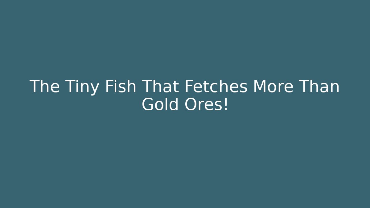 The Tiny Fish That Fetches More Than Gold Ores!