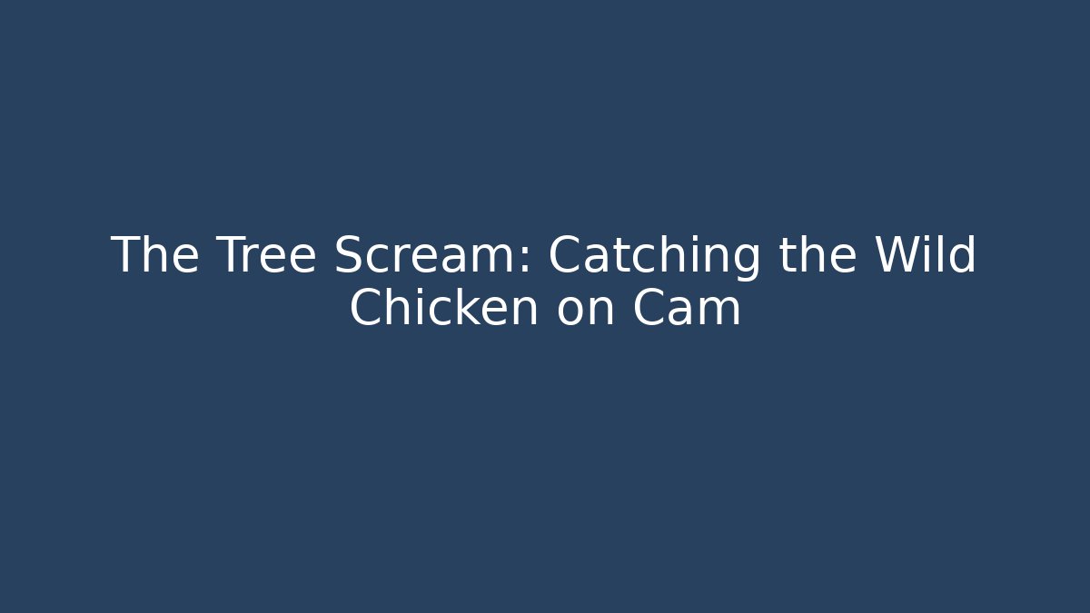 The Tree Scream: Catching the Wild Chicken on Cam