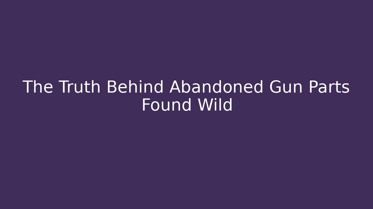The Truth Behind Abandoned Gun Parts Found Wild