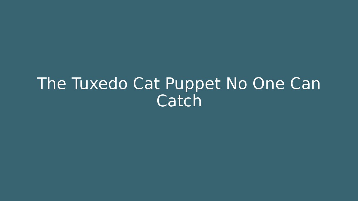 The Tuxedo Cat Puppet No One Can Catch