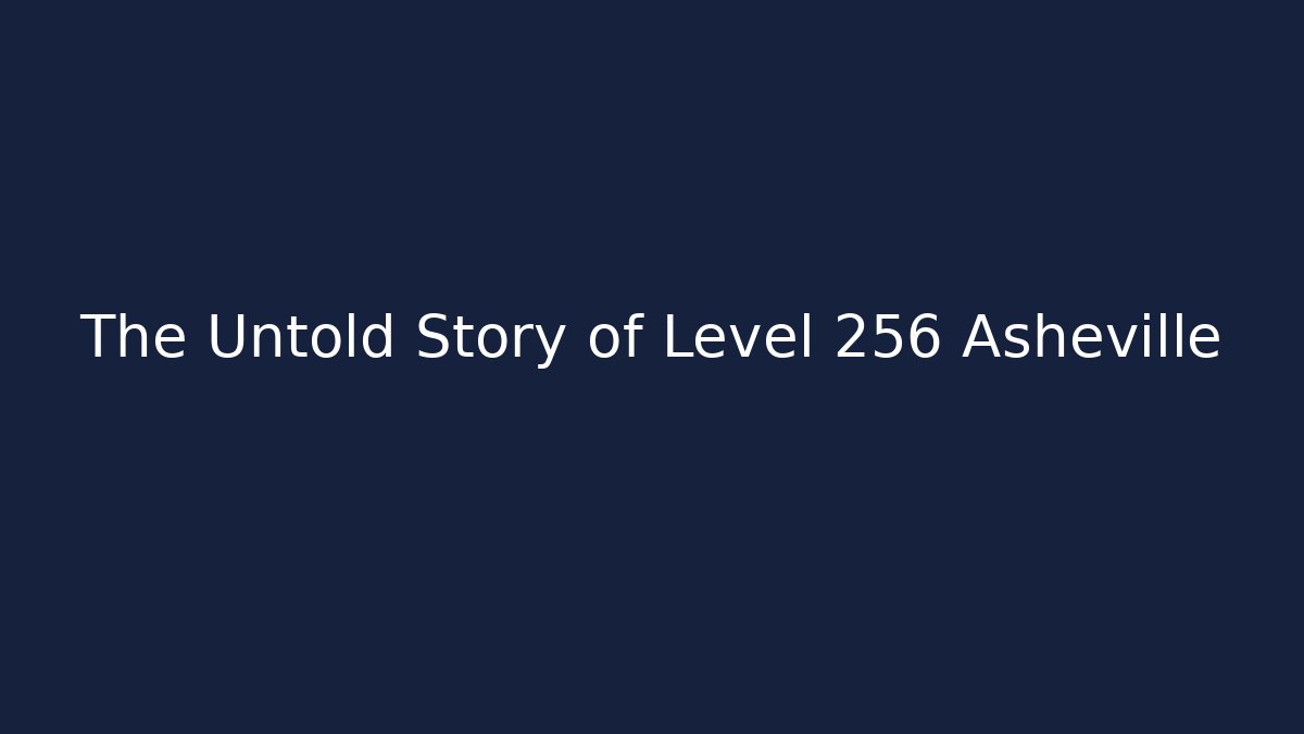 The Untold Story of Level 256 Asheville