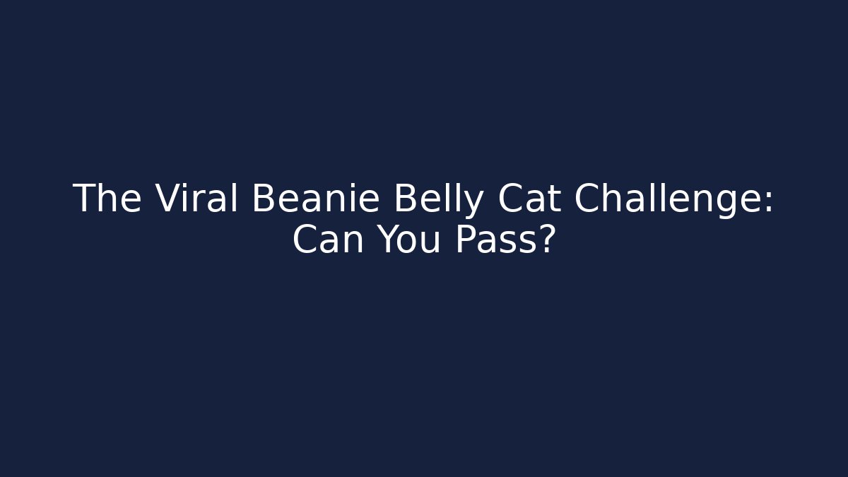 The Viral Beanie Belly Cat Challenge: Can You Pass?