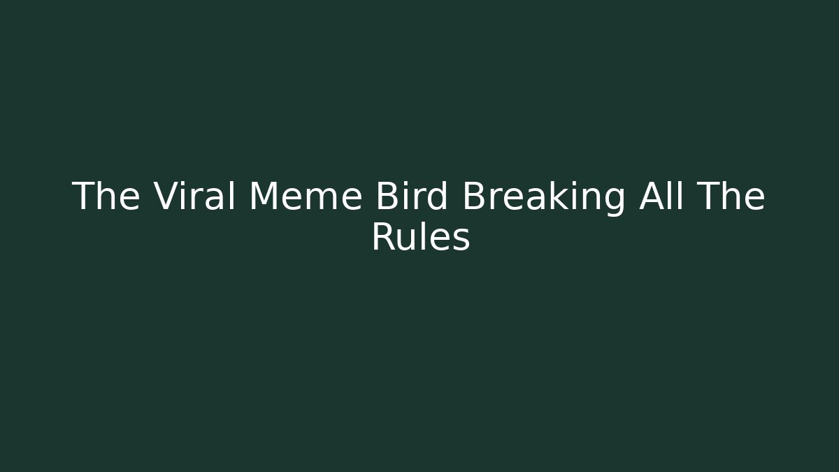 The Viral Meme Bird Breaking All The Rules