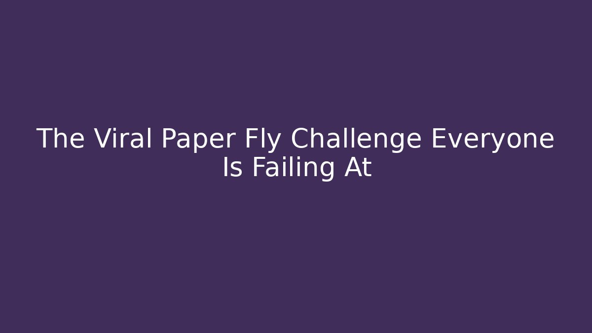 The Viral Paper Fly Challenge Everyone Is Failing At