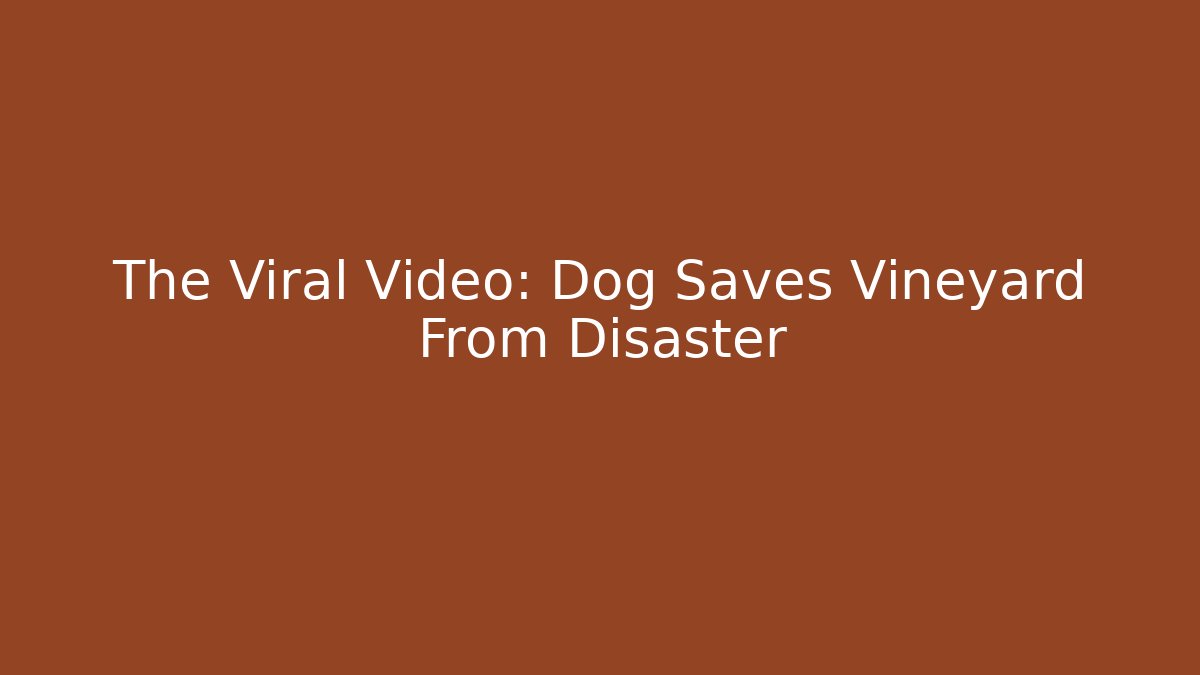 The Viral Video: Dog Saves Vineyard From Disaster