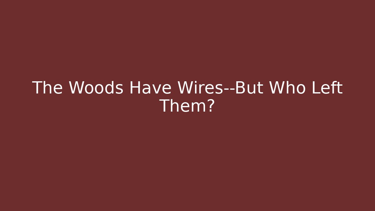 The Woods Have Wires—But Who Left Them? - Critter Realm