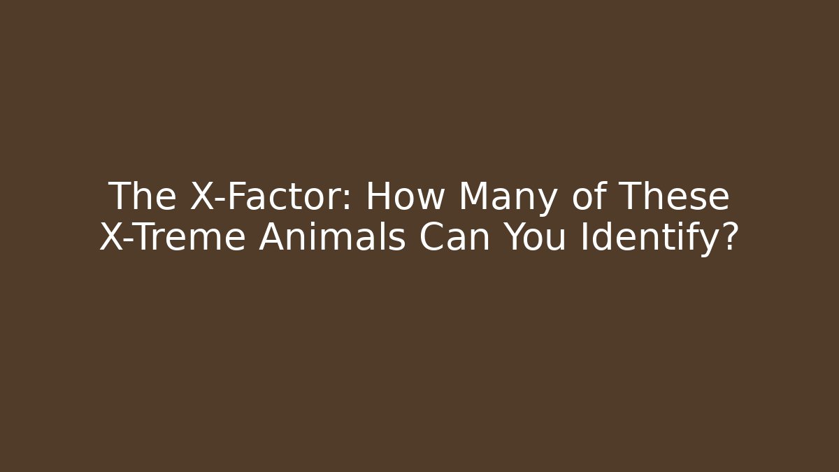 The X-Factor: How Many of These X-Treme Animals Can You Identify?