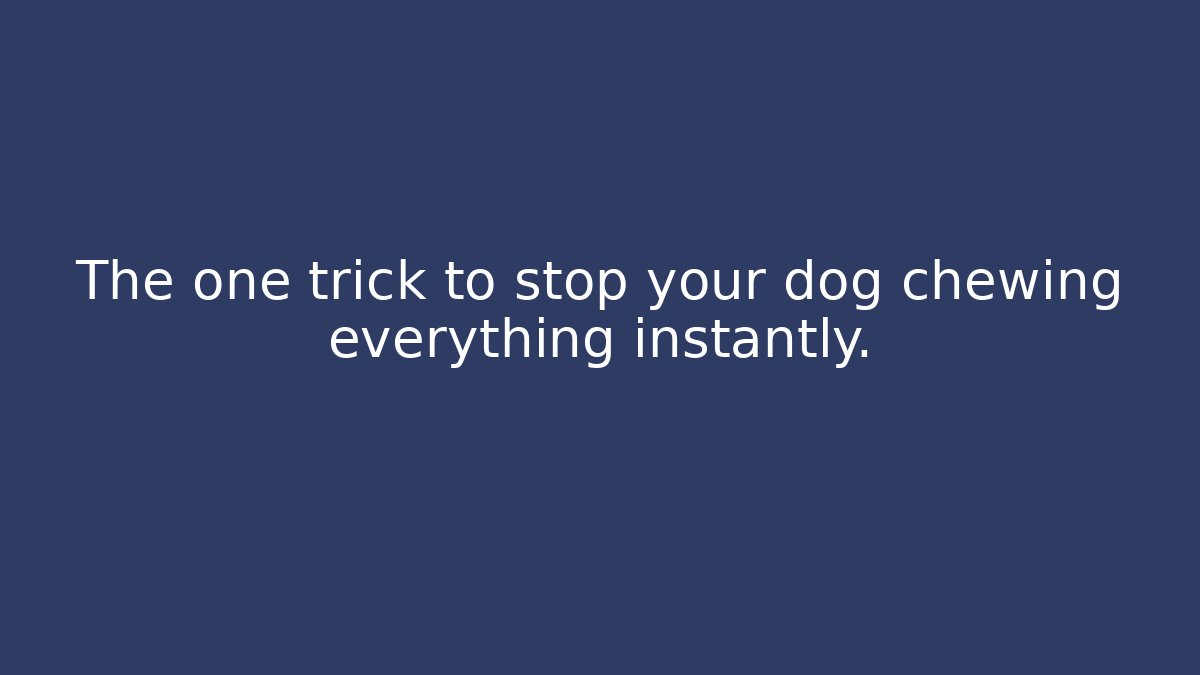 The one trick to stop your dog chewing everything instantly.