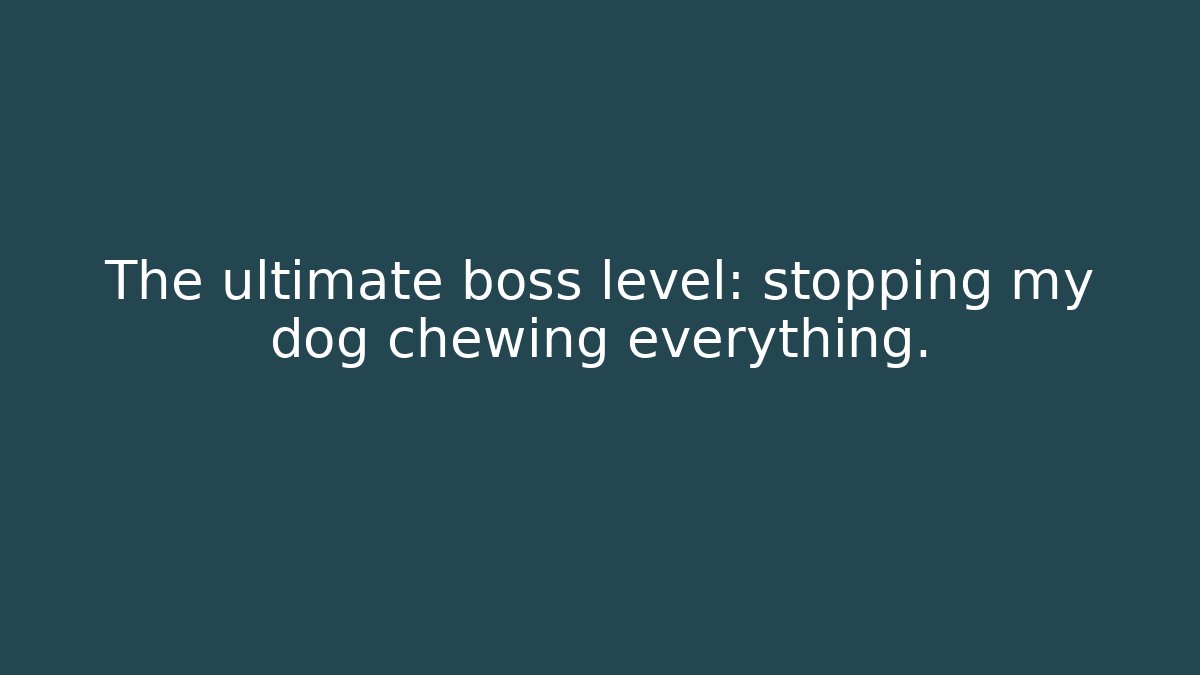 The ultimate boss level: stopping my dog chewing everything.