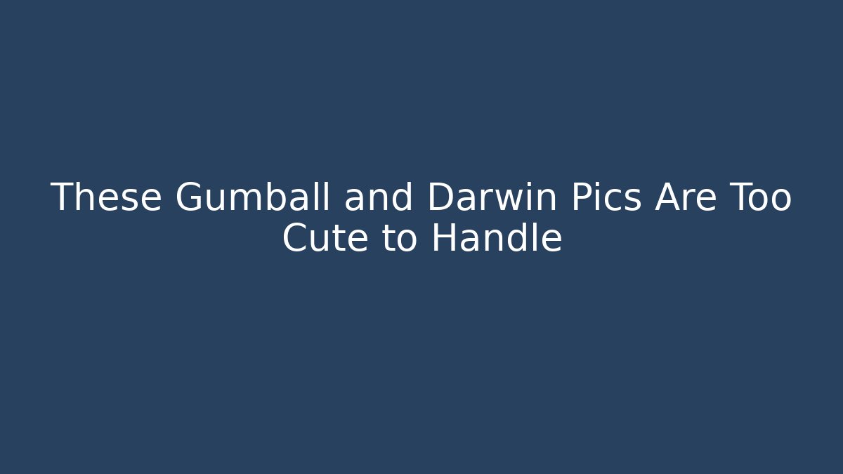 These Gumball and Darwin Pics Are Too Cute to Handle