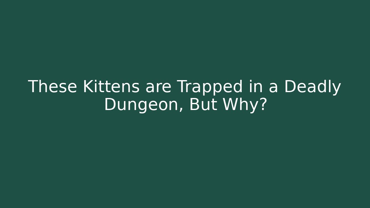 These Kittens are Trapped in a Deadly Dungeon, But Why?