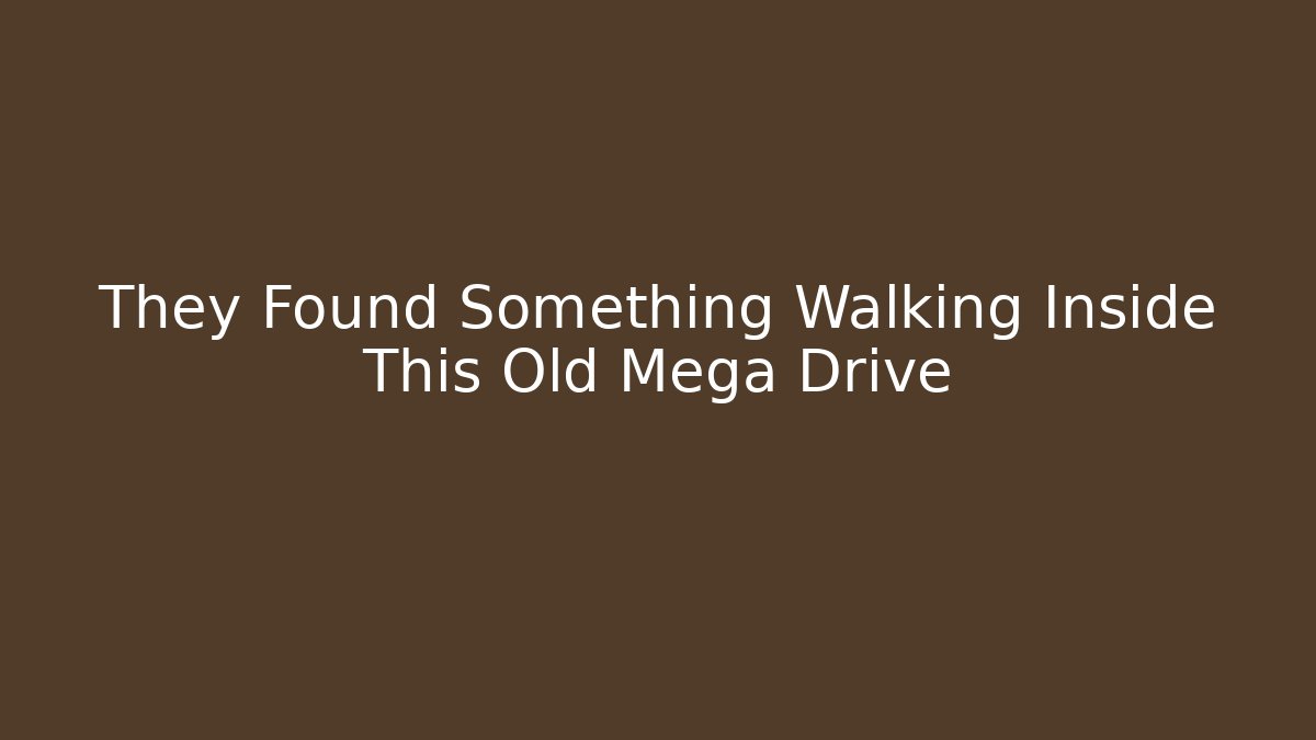 They Found Something Walking Inside This Old Mega Drive