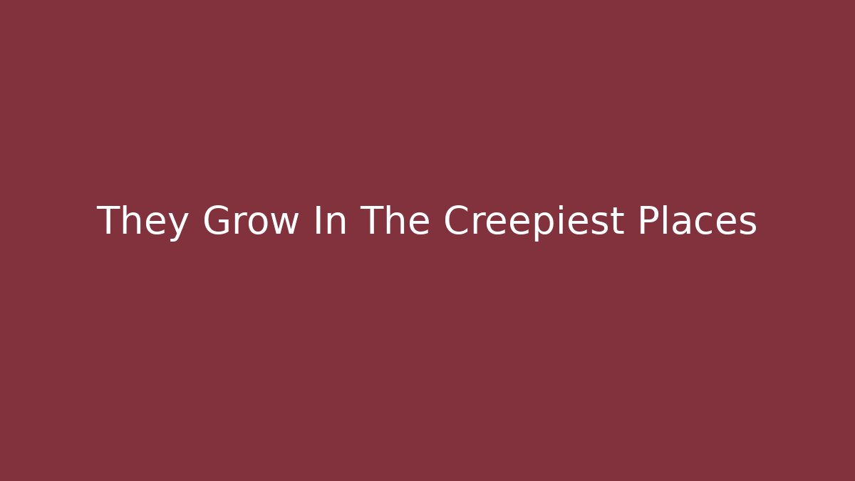They Grow In The Creepiest Places