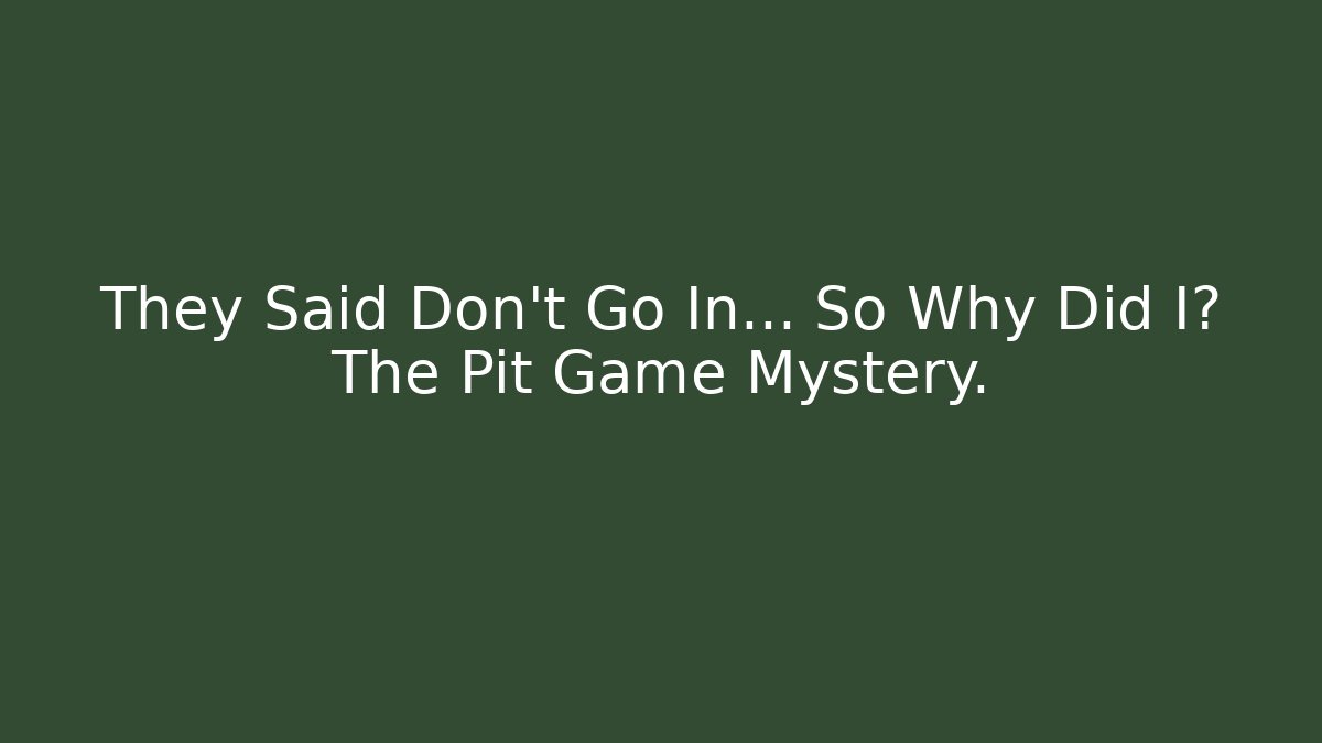 They Said Don't Go In... So Why Did I? The Pit Game Mystery.