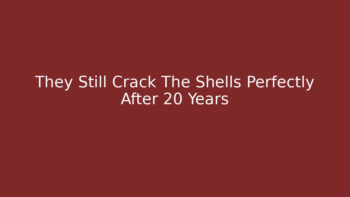 They Still Crack The Shells Perfectly After 20 Years