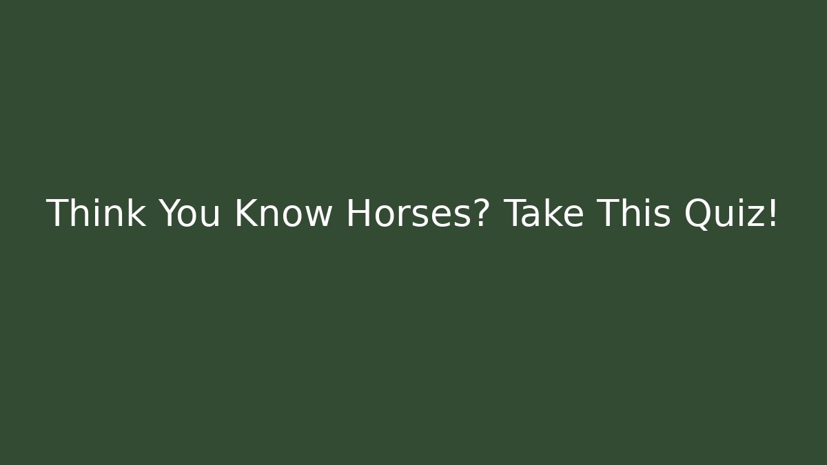Think You Know Horses? Take This Quiz!