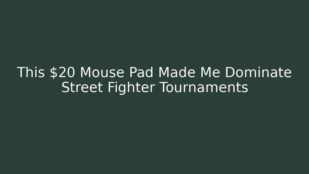 This $20 Mouse Pad Made Me Dominate Street Fighter Tournaments - Critter Realm