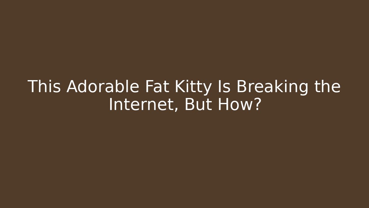 This Adorable Fat Kitty Is Breaking the Internet, But How?