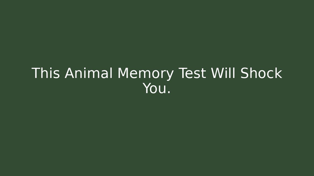 This Animal Memory Test Will Shock You.