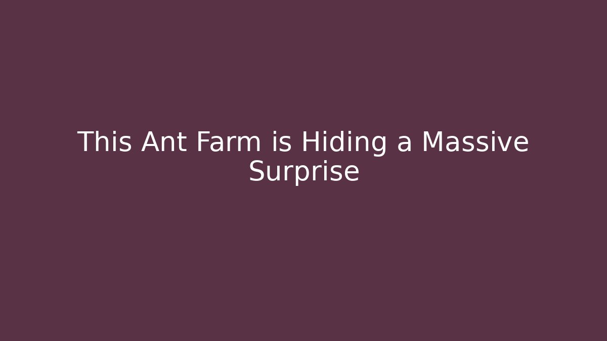 This Ant Farm is Hiding a Massive Surprise