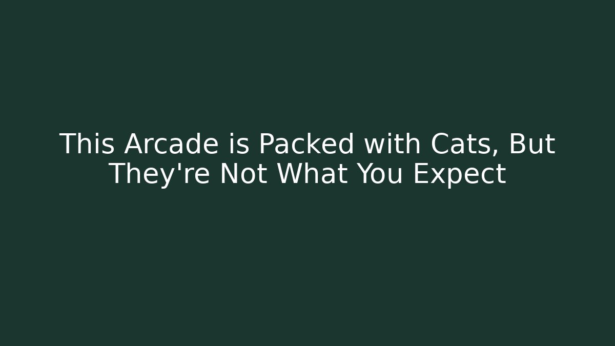 This Arcade is Packed with Cats, But They're Not What You Expect