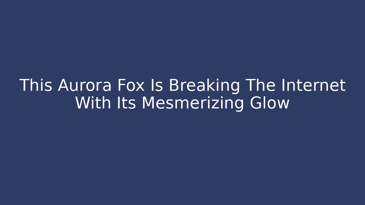 This Aurora Fox Is Breaking The Internet With Its Mesmerizing Glow