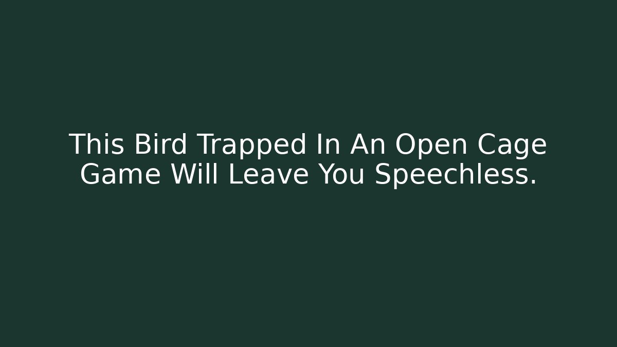 This Bird Trapped In An Open Cage Game Will Leave You Speechless.