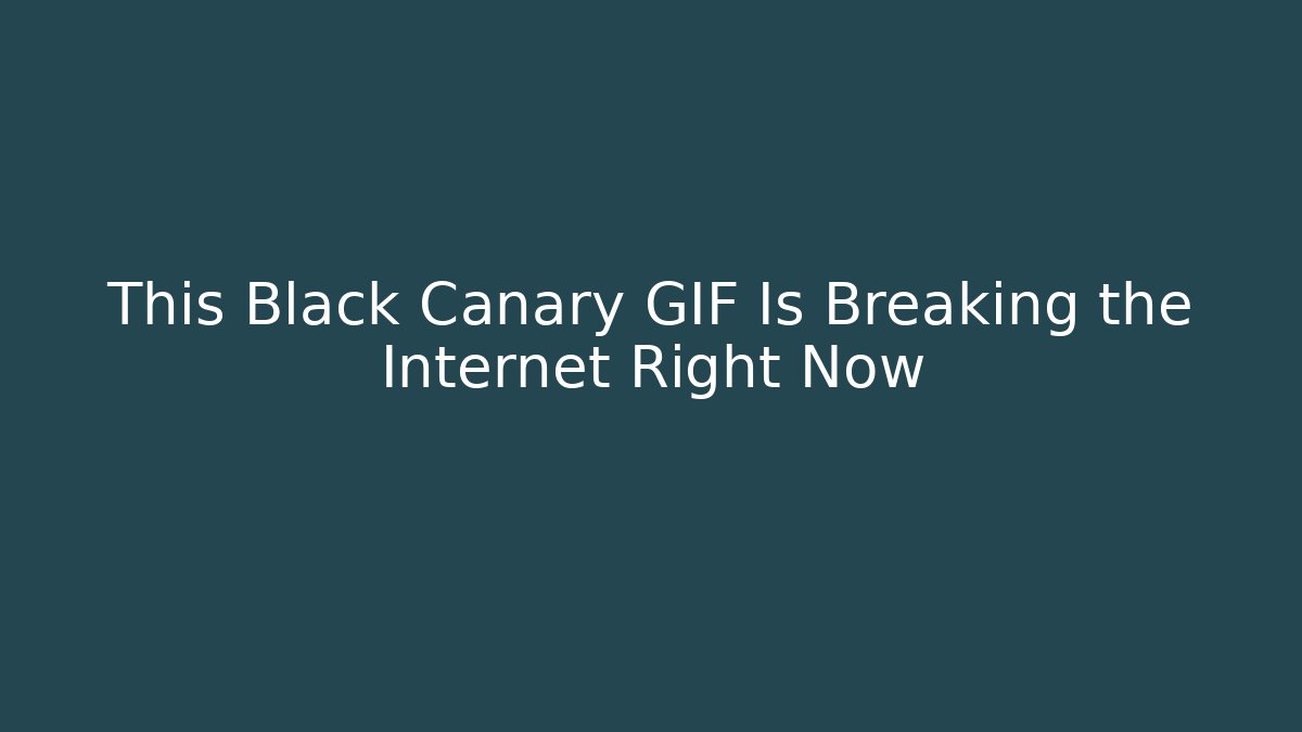 This Black Canary GIF Is Breaking the Internet Right Now