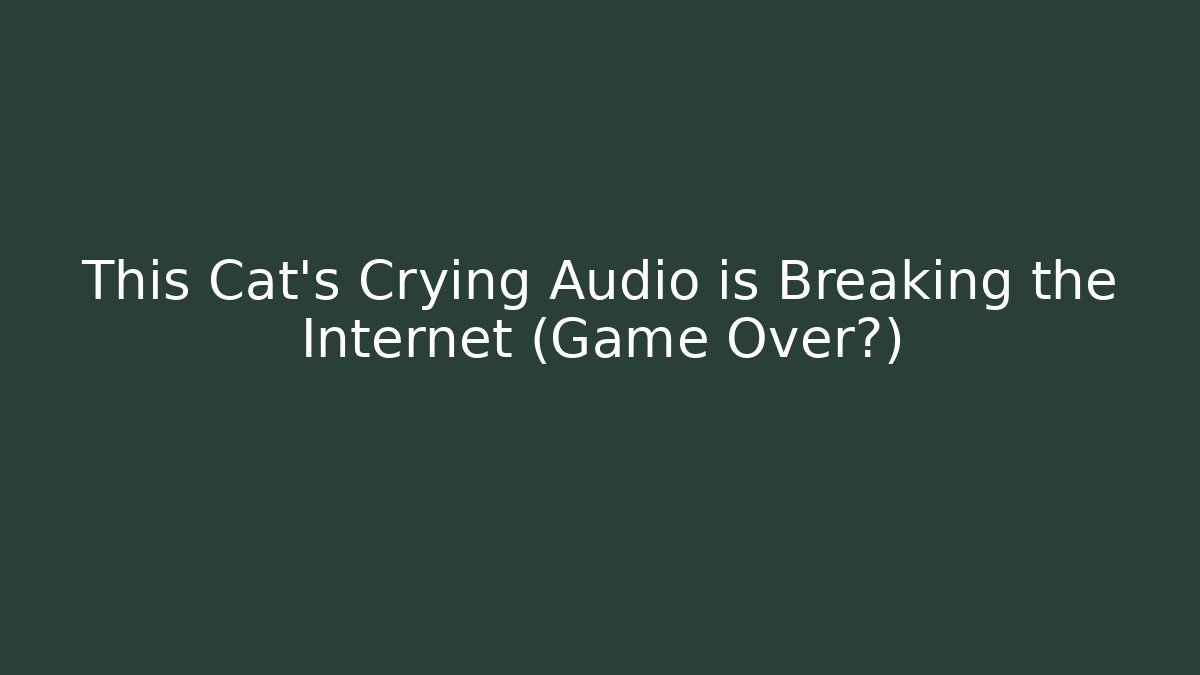 This Cat's Crying Audio is Breaking the Internet (Game Over?)