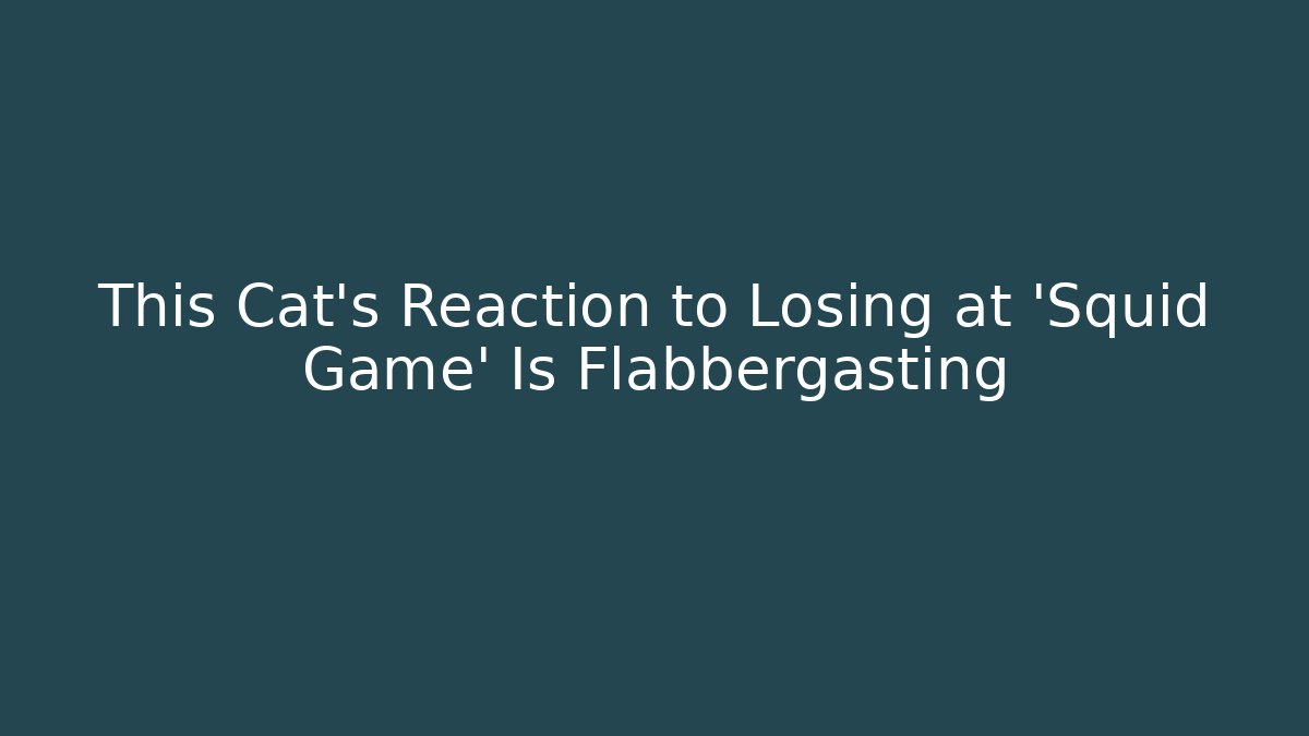 This Cat’s Reaction to Losing at ‘Squid Game’ Is Flabbergasting