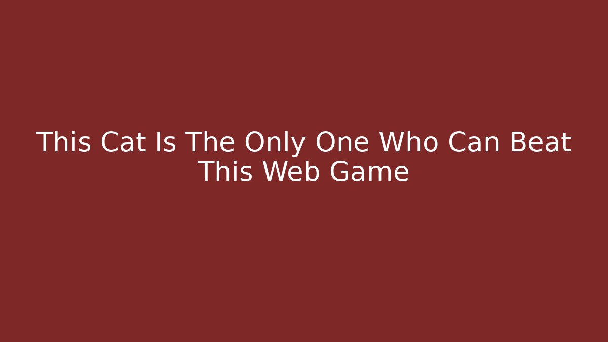 This Cat Is The Only One Who Can Beat This Web Game