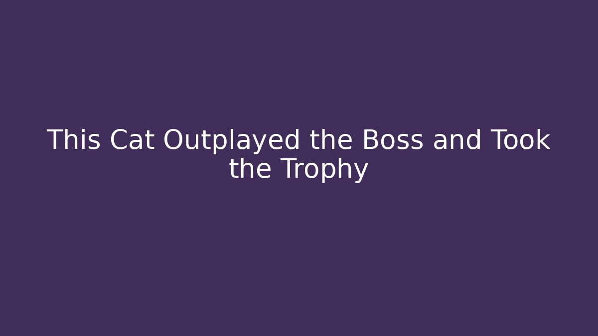 This Cat Outplayed the Boss and Took the Trophy - Critter Realm