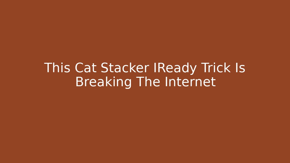 This Cat Stacker IReady Trick Is Breaking The Internet