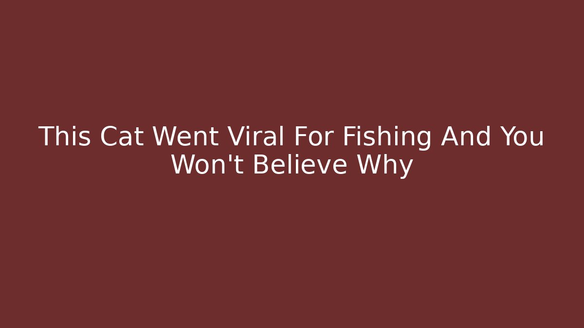 This Cat Went Viral For Fishing And You Won't Believe Why