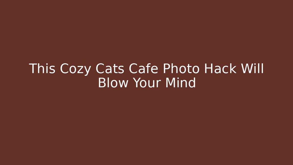 This Cozy Cats Cafe Photo Hack Will Blow Your Mind