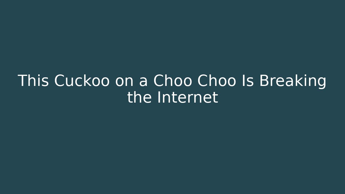 This Cuckoo on a Choo Choo Is Breaking the Internet