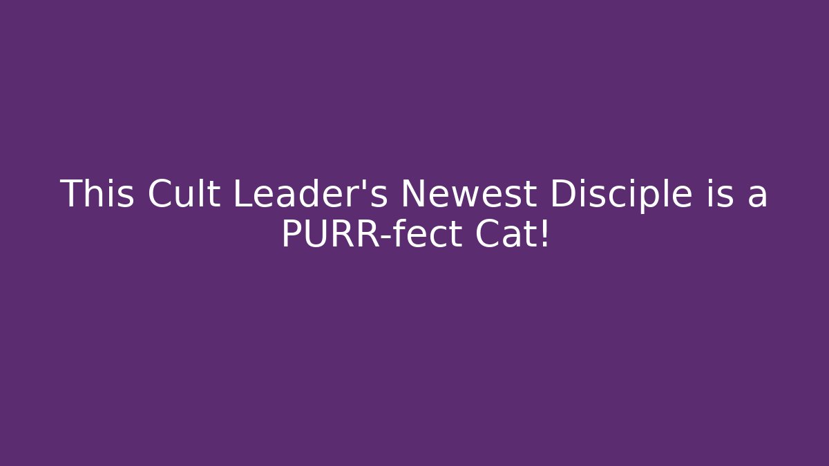 This Cult Leader's Newest Disciple is a PURR-fect Cat!