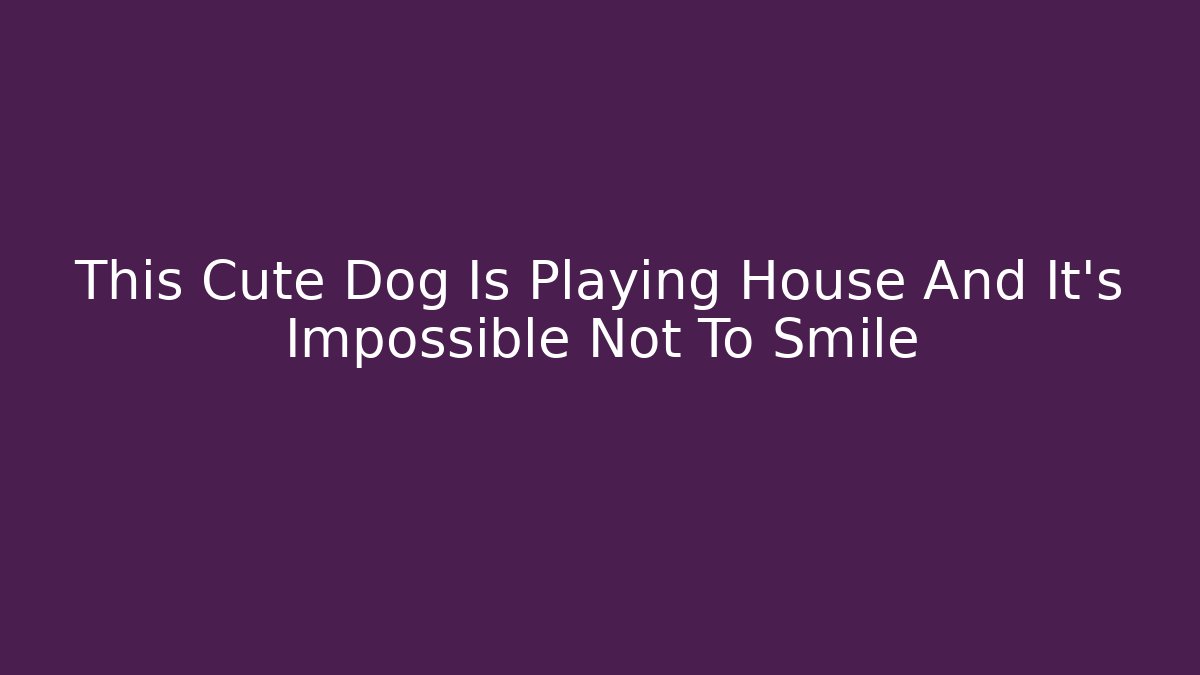 This Cute Dog Is Playing House And It’s Impossible Not To Smile
