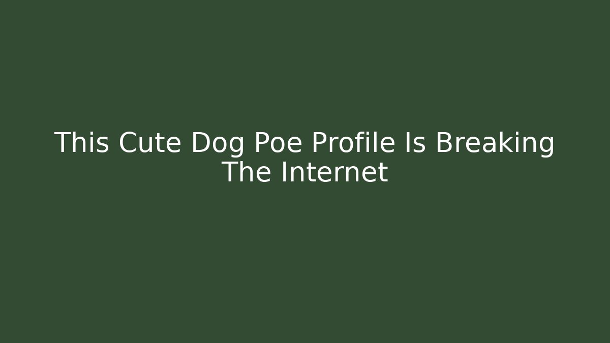 This Cute Dog Poe Profile Is Breaking The Internet