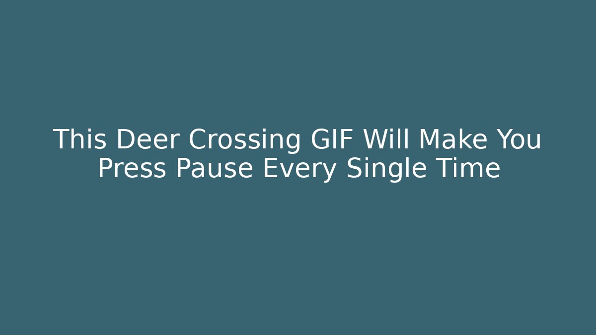 This Deer Crossing GIF Will Make You Press Pause Every Single Time