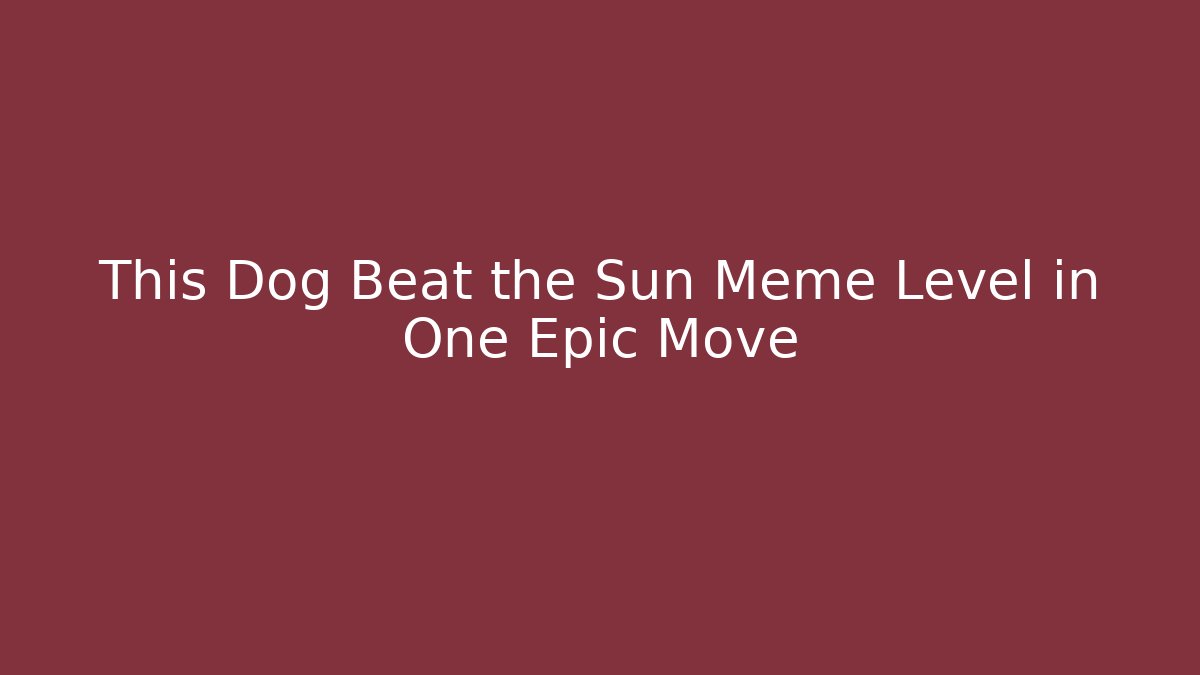 This Dog Beat the Sun Meme Level in One Epic Move