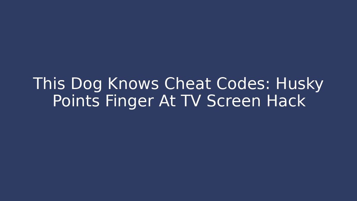 This Dog Knows Cheat Codes: Husky Points Finger At TV Screen Hack
