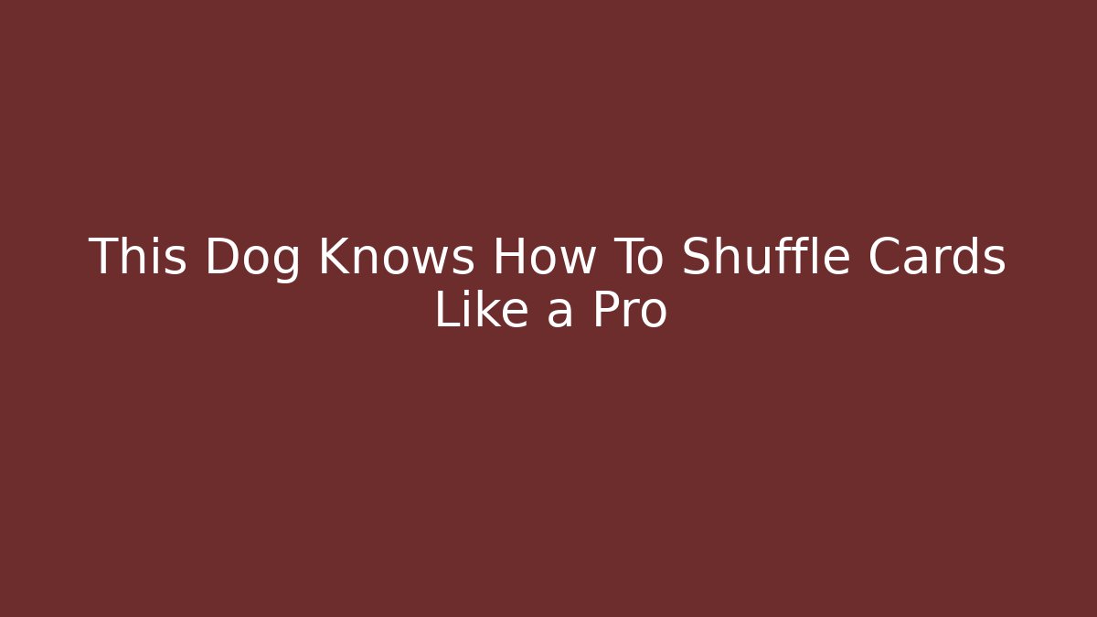 This Dog Knows How To Shuffle Cards Like a Pro