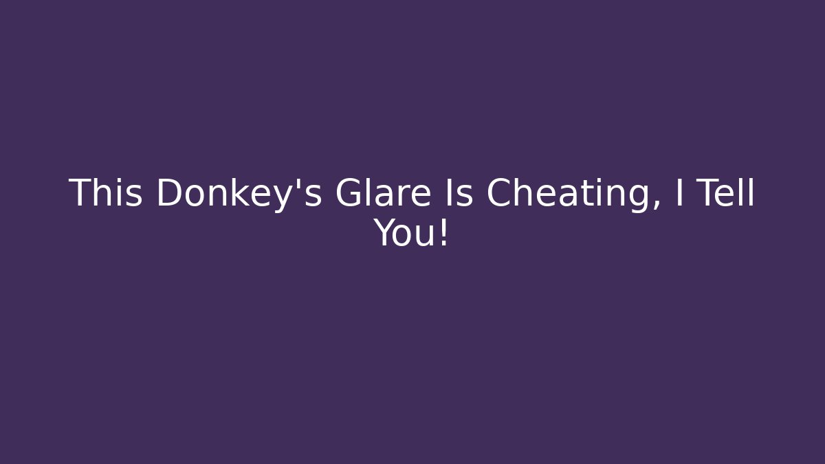 This Donkey's Glare Is Cheating, I Tell You!