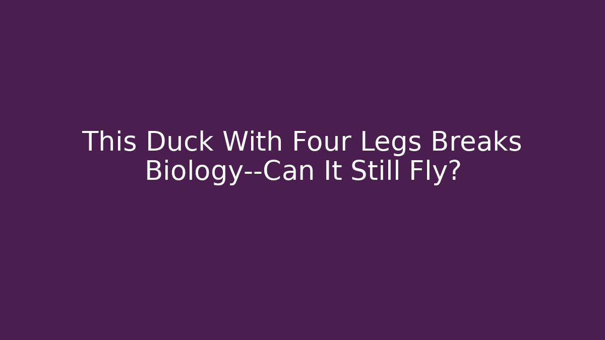 This Duck With Four Legs Breaks Biology—Can It Still Fly?