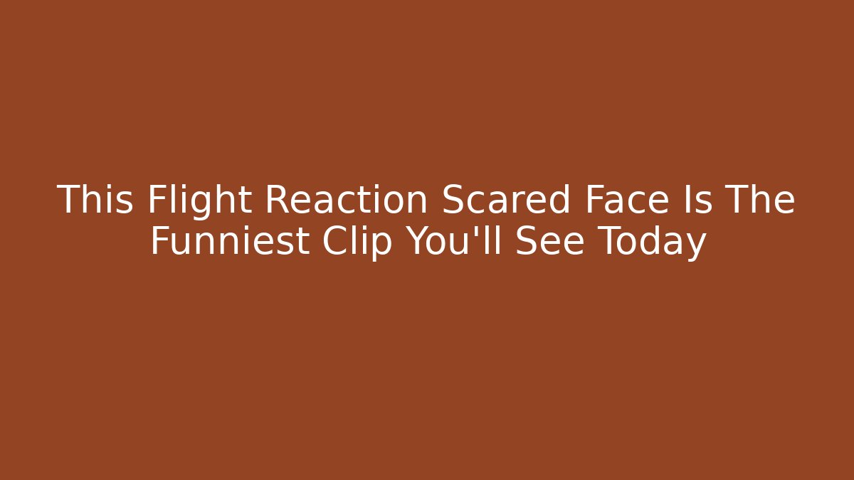 This Flight Reaction Scared Face Is The Funniest Clip You'll See Today