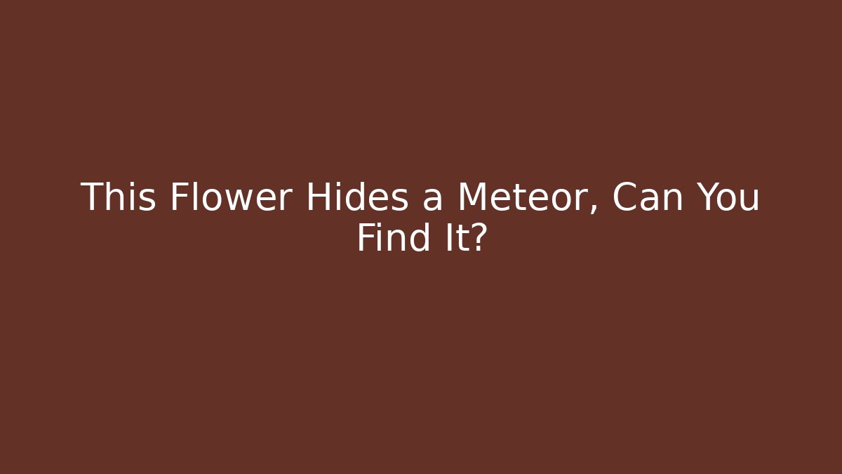 This Flower Hides a Meteor, Can You Find It?