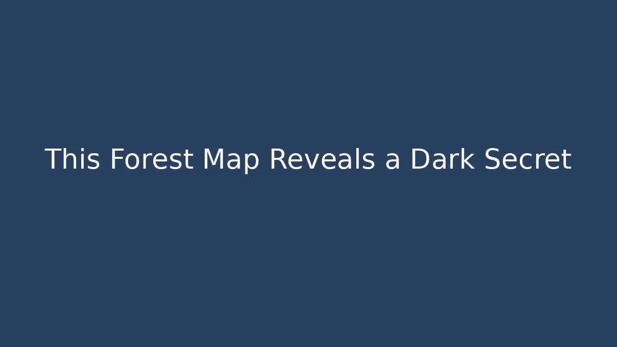 This Forest Map Reveals a Dark Secret