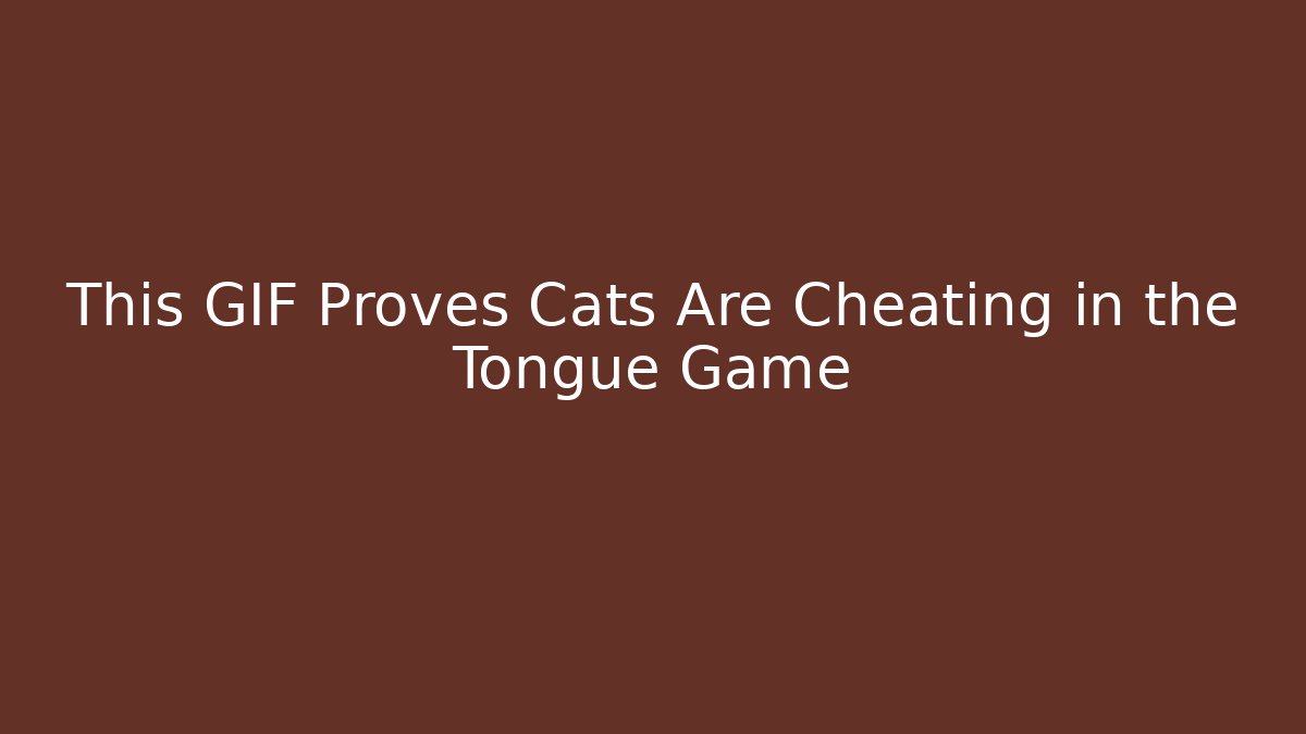 This GIF Proves Cats Are Cheating in the Tongue Game